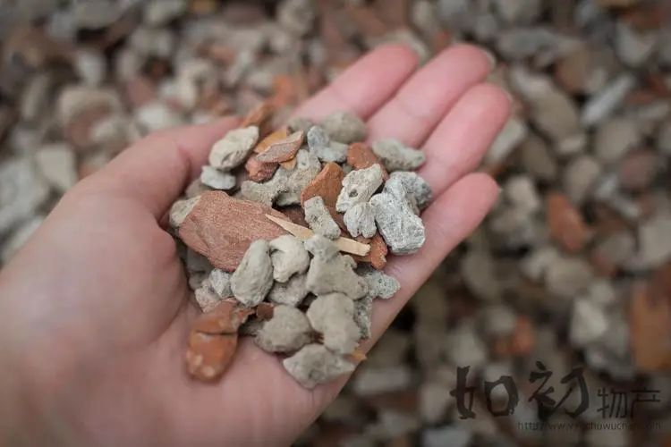 新手养兰花最好用什么植料,养兰花该用什么植料手把手教你