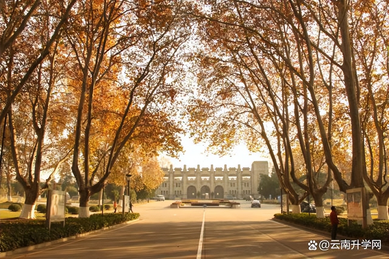 南京体育学院冠军名单,南京体育学院冠军之路