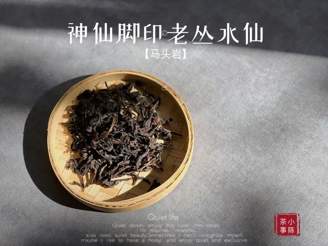 岩茶水仙什么味道最好,老枞水仙属于红茶吗