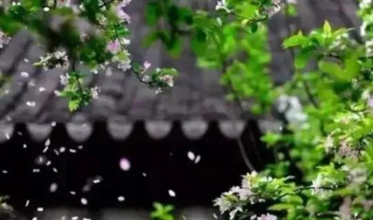 中庸智慧精华解析,中庸之道是先圣先贤的智慧结晶