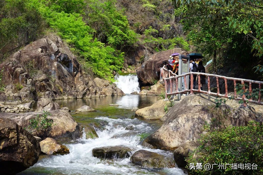广州室内避暑的地方,广州夏日避暑胜地