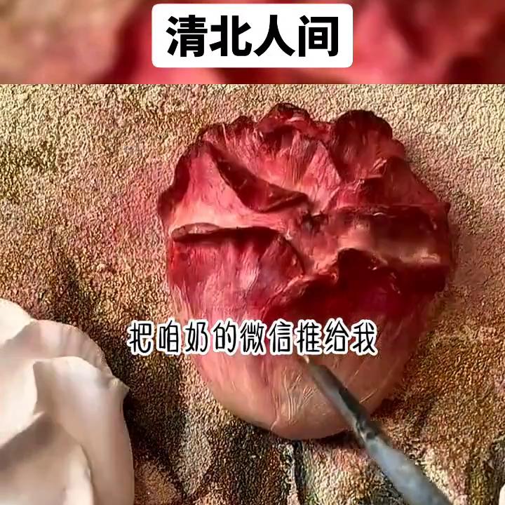 《清北人间》#文荒推荐