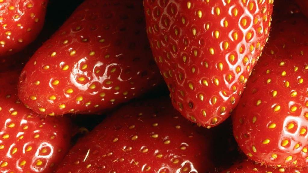 立夏水果有哪几种,农村立夏吃什么水果