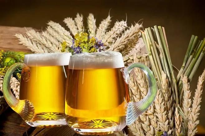 啤酒品鉴视频大全,啤酒品鉴课