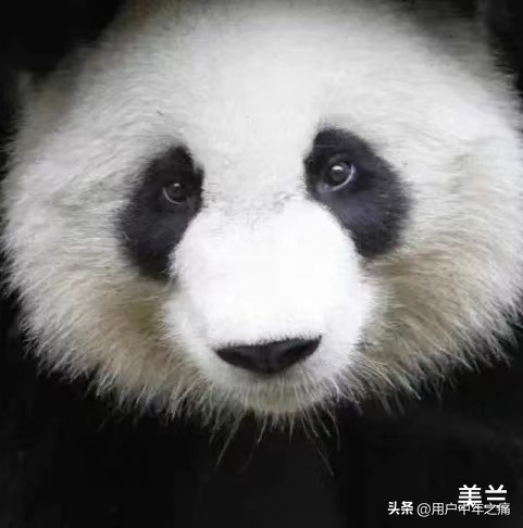 天之骄女是哪一年的,天之骄女重生归来小说