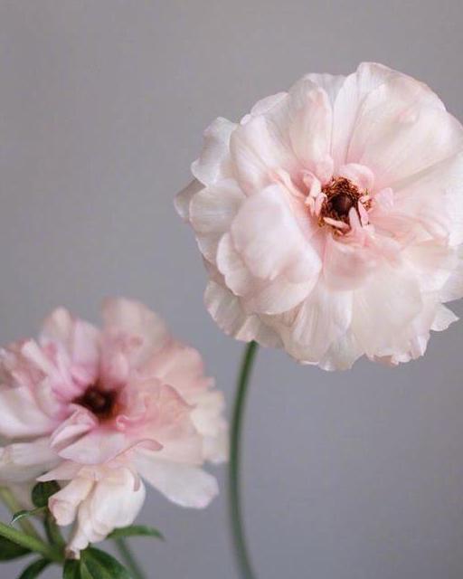 走到哪里都是气氛组,走到哪里都是一个人习惯了孤独