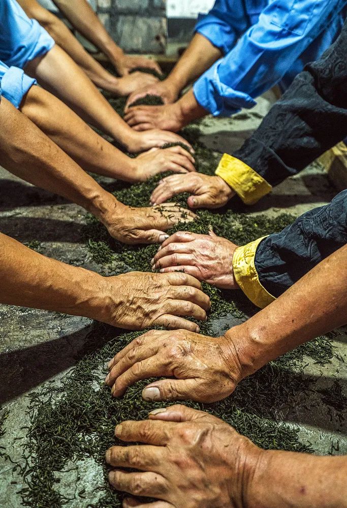 湖北茶的特点,楚国茶文化
