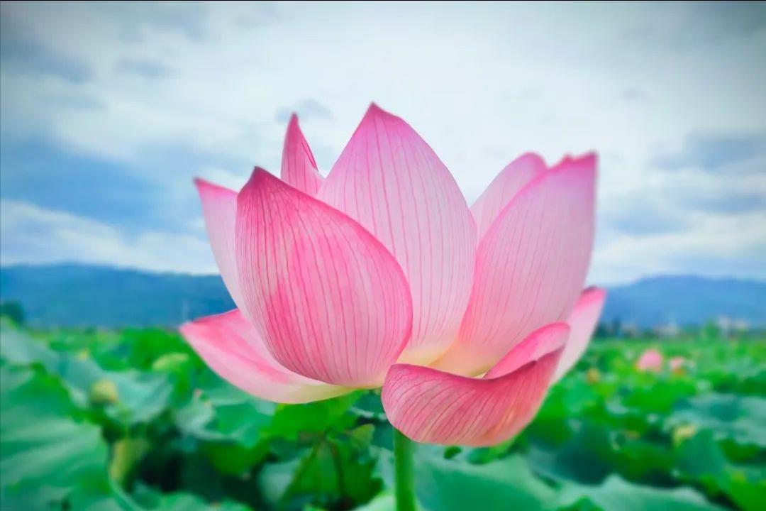 相亲见面两次可以发展到什么地步,同一个相亲对象介绍两次