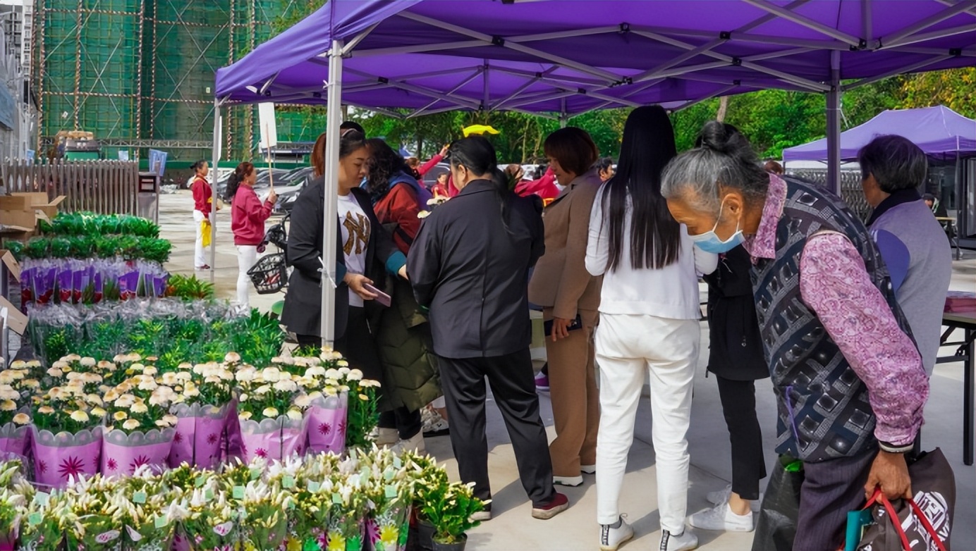 成都最新的花市,成都花市人气旺