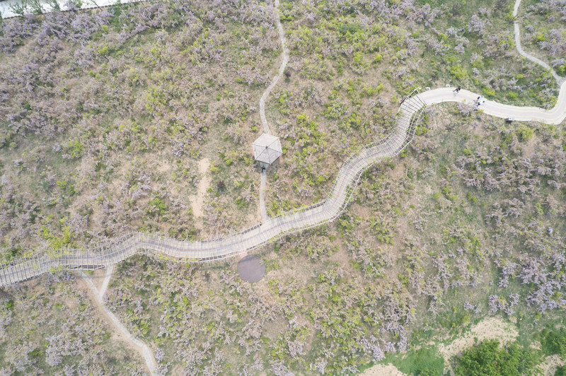 宿州两日游,宿州旅游攻略三日游