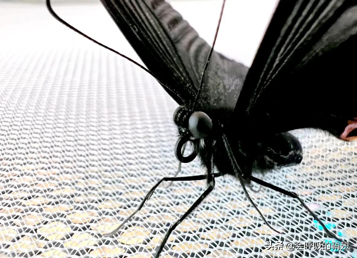 5个月的等待,经过5个多月的漫长等待