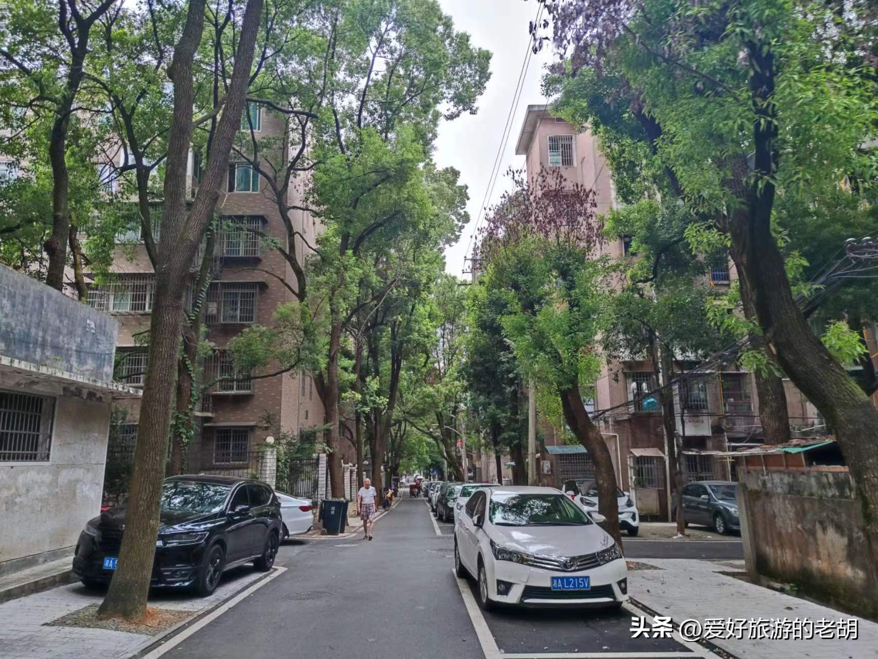 迁到长沙的国企,搬到长沙的企业