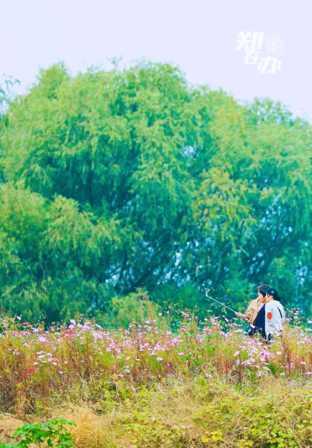 郑州哪个地方最适合春游,3月春游好去处郑州