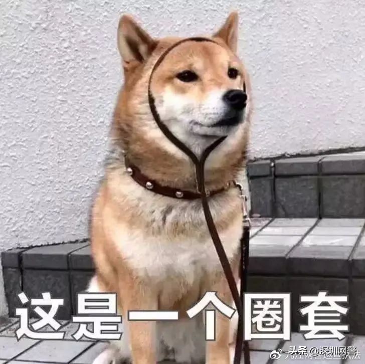 警惕！武定公安民警潜入“*子骗**群”为您揭秘：“免费领取微波炉”是诈骗！别再转了（武定警方）