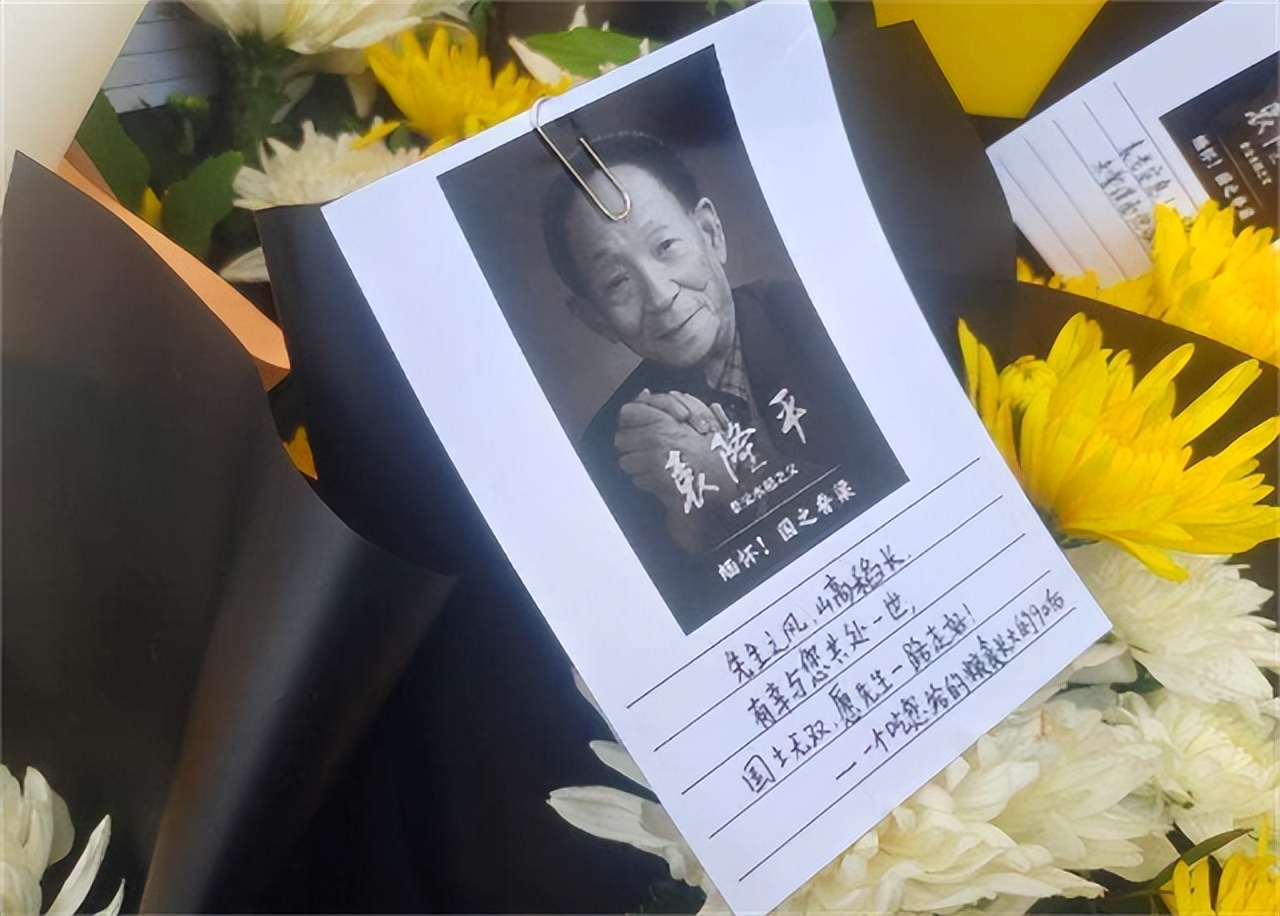 袁隆平让我心生敬意,袁隆平我敬佩的人征文