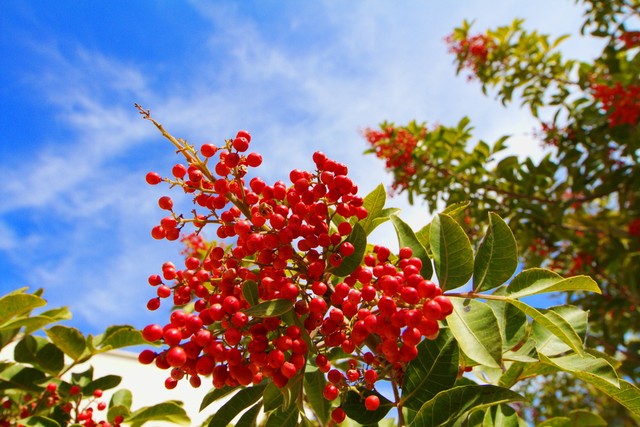 让自己变年轻的12个好习惯,让自己气质变好的方式