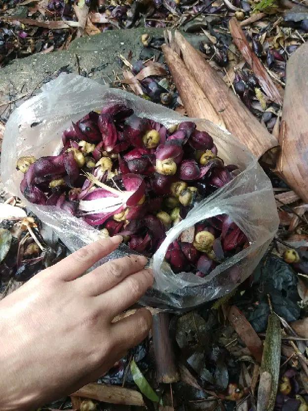 关于福报的诗句,福报耗尽的8大征兆