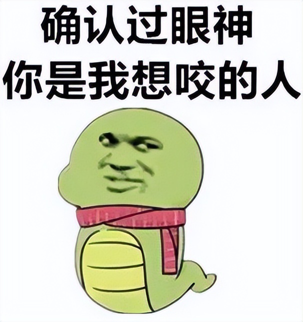 剧毒白头蝰蛇,国内发现的稀少的剧毒蛇