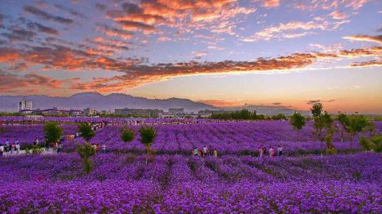 甘肃省各市颜值排名,甘肃省各市照片