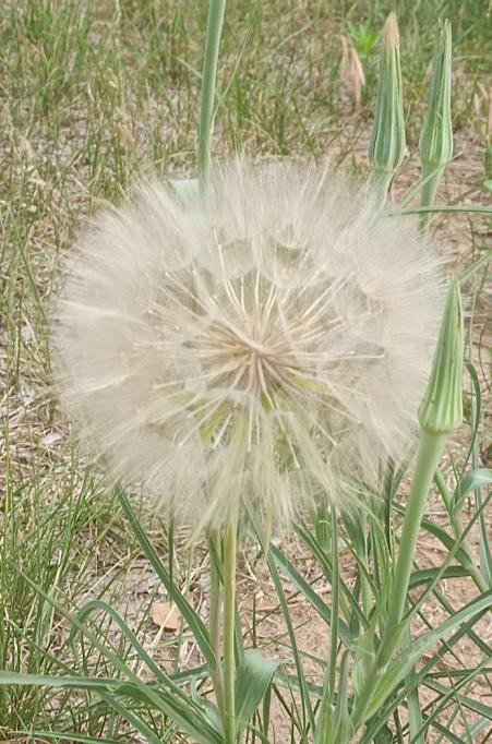 2023济南中考总结,2023年济南市中考排名