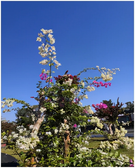 大美花都,广州花都竹洞村美景