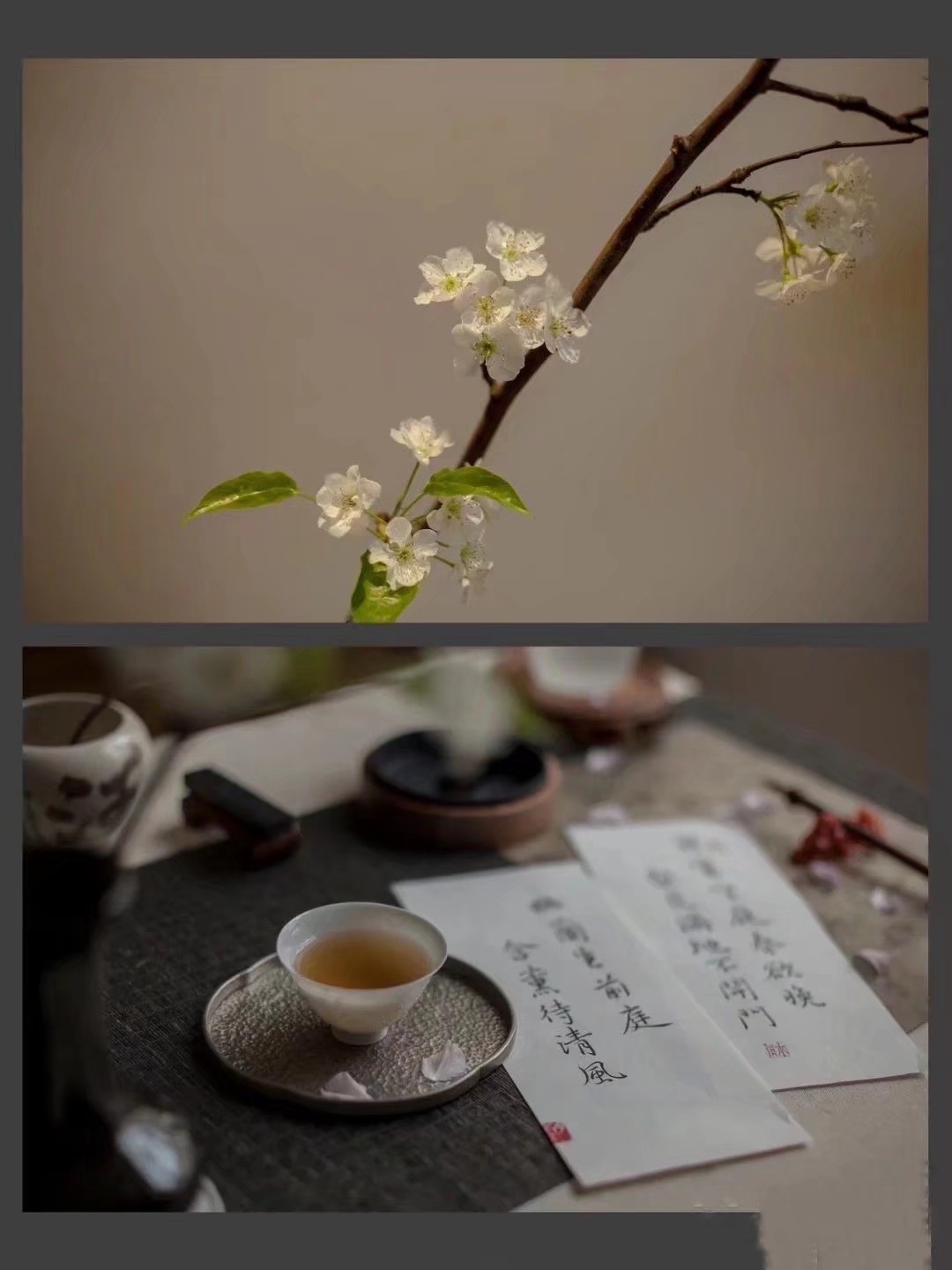 优美有深意的散文句子,春暖花开感悟人生的散文