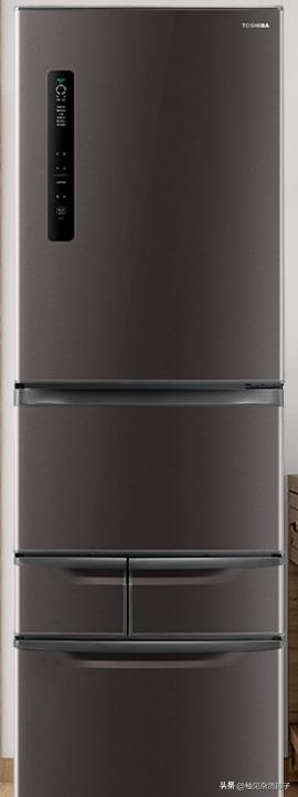 双开门冰箱的款式是什么样的,法式多门冰箱与十字对开门冰箱