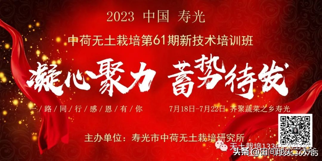 寿光中荷无土栽培基地,山东寿光中荷无土栽培