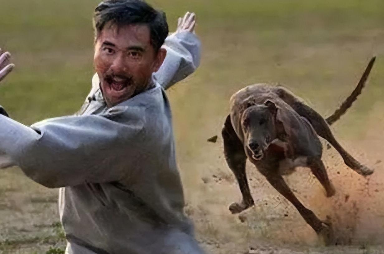 被狗追咬该如何正确保护,被狗追咬如何自救