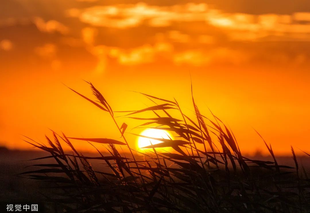 那些描写夕阳的绝美诗句,描写夕阳的绝美诗句