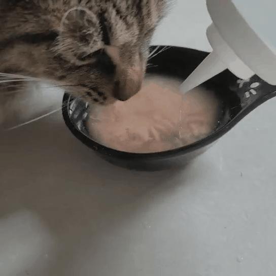 猫咪骗水喝的办法,猫咪骗水神器视频大全