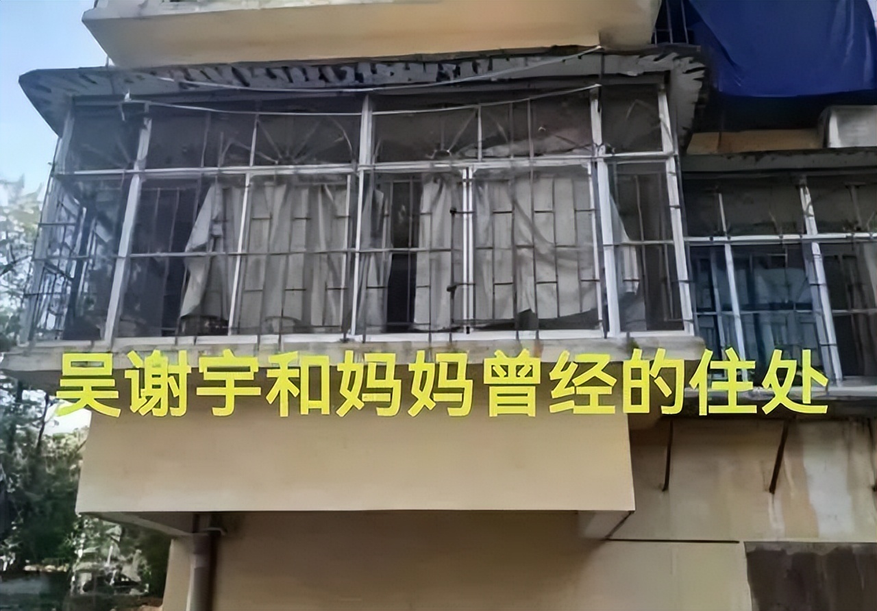 北大学霸杀母案最新结果,北大学霸杀母案枪毙吗