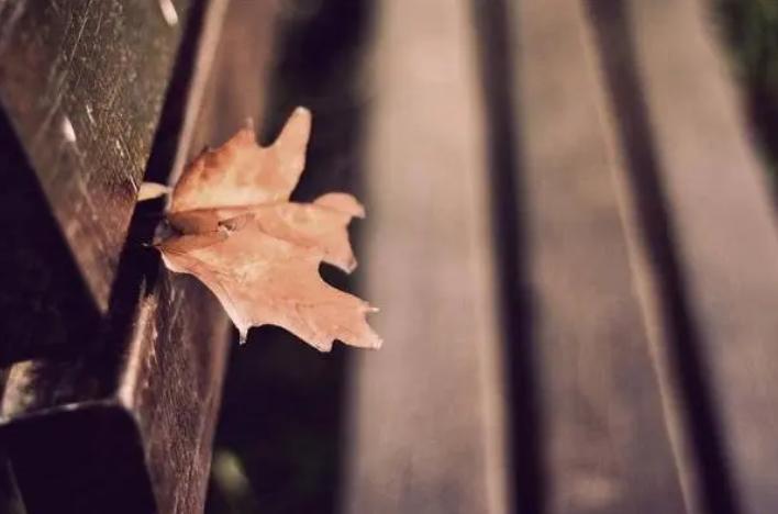 “是人是鬼，一看便知”，看清一个人，无需日久，三招识破