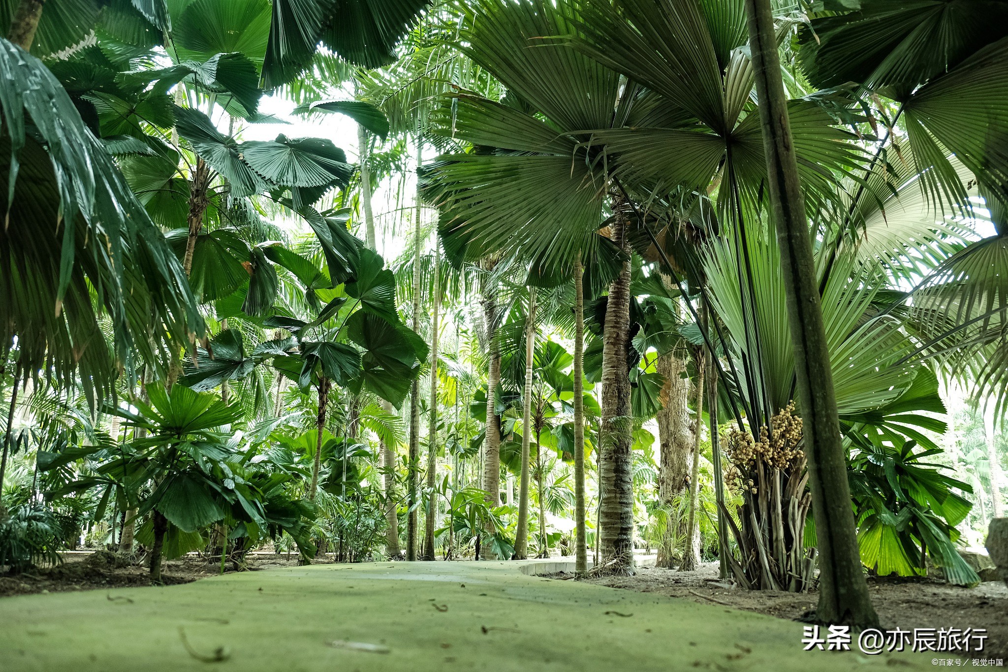 海南冬天旅游十大必去景点,海南旅游最佳景点推荐自驾游