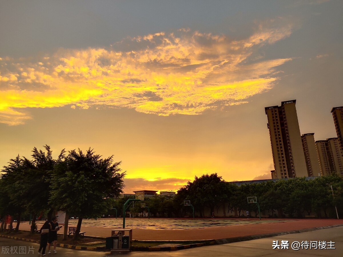 中国当代著名诗人作品欣赏,中国当代十大杰出诗人