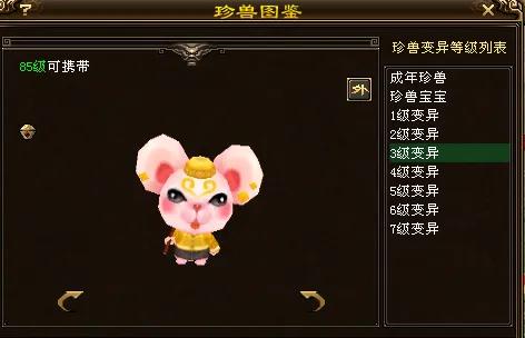 天龙八部手游国际服龙宝宝,天龙八部唐装鼠宝宝怎么获得