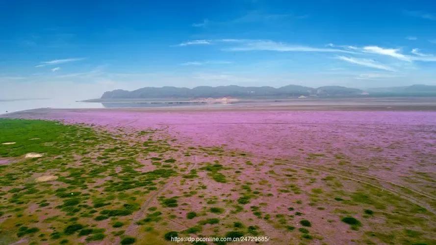 苦难的过去，救我们生命的鄱阳湖