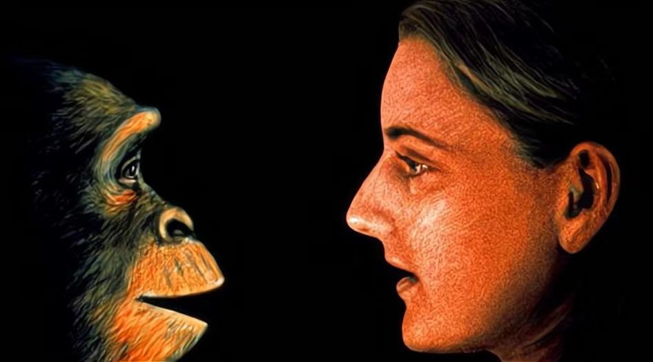 人类为什么会退去体毛？却留下来腋毛、阴毛等一小部分头发？