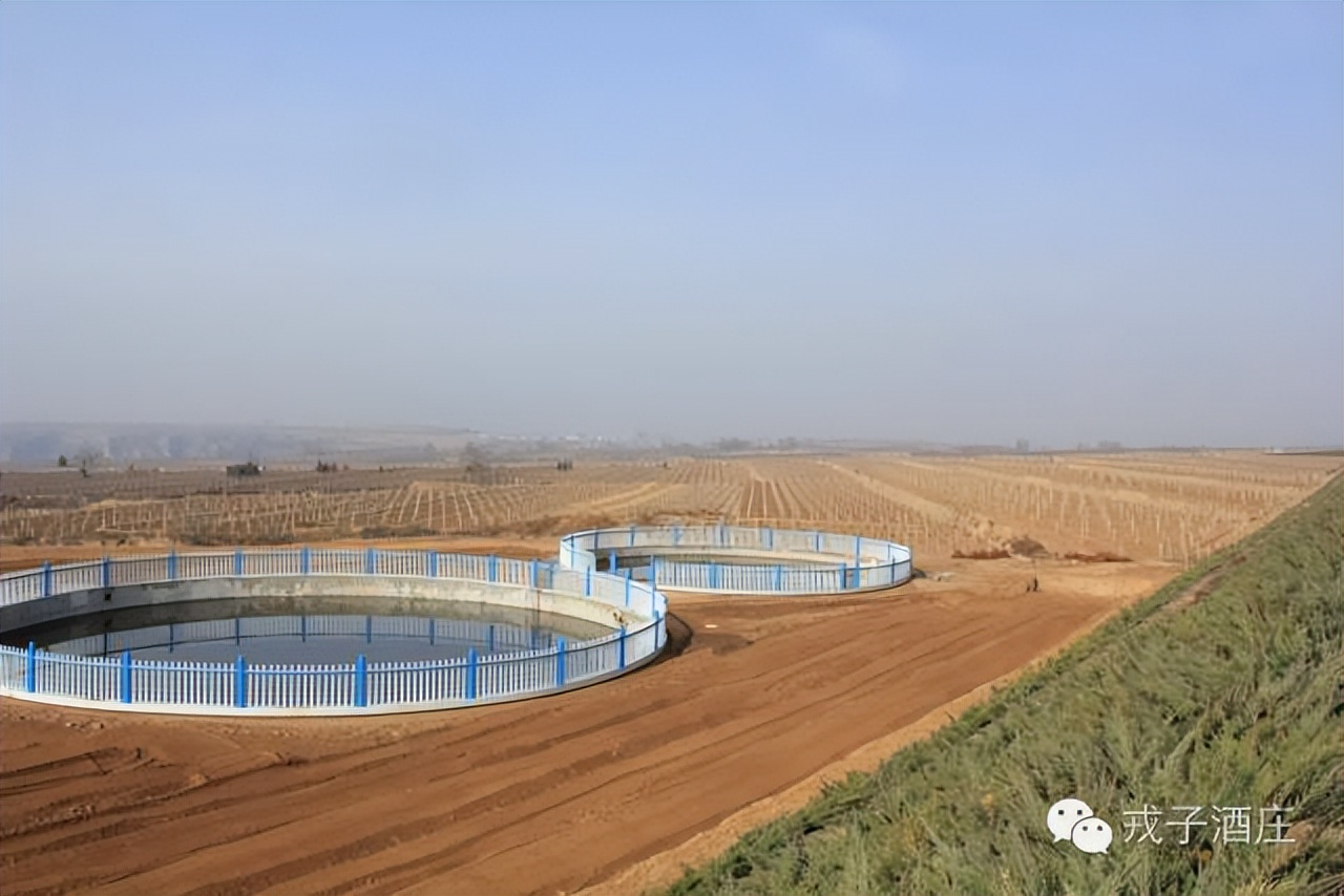 戎子酒庄葡萄酒酿造时间表,戎子酒庄的经济优势