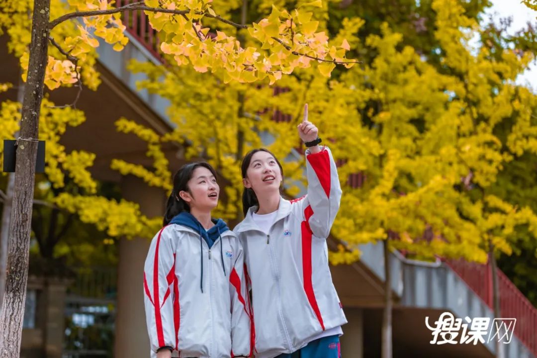 秋季限定|昆明九所学校，送你诗意校园里的一抹金