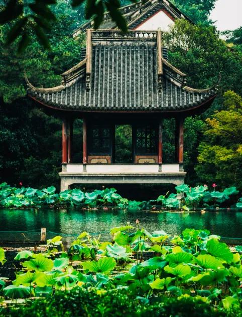 閮簞鍒樺簞,钂嬪簞鍒樺簞