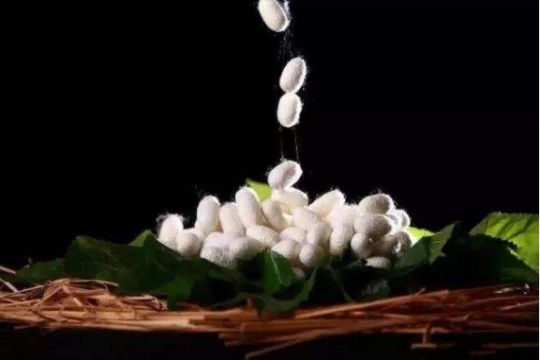 蚕丝被杭州牌子有哪些,杭州蚕丝被品牌排名