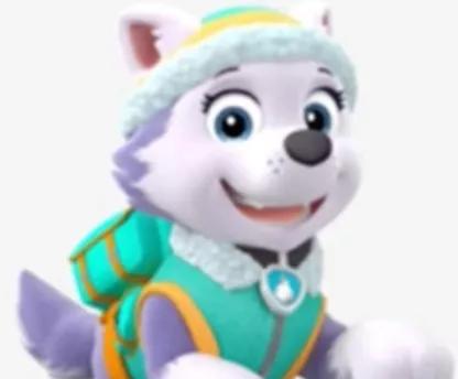 汪汪队立大功狗狗都是什么品种,汪汪队中的11个狗狗品种