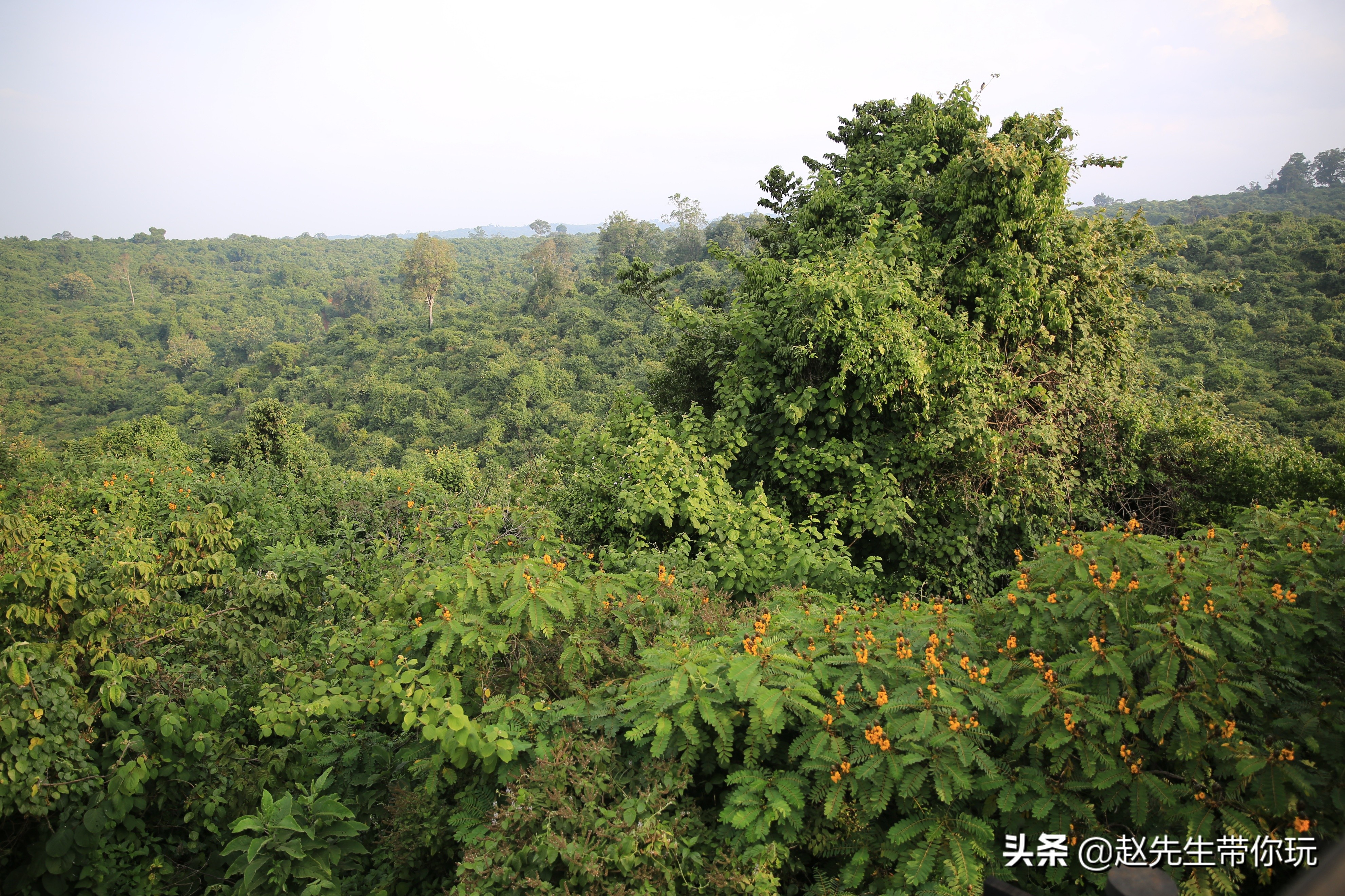 二十年游历分享之202:非洲19:肯尼亚18尼耶利的方舟酒店
