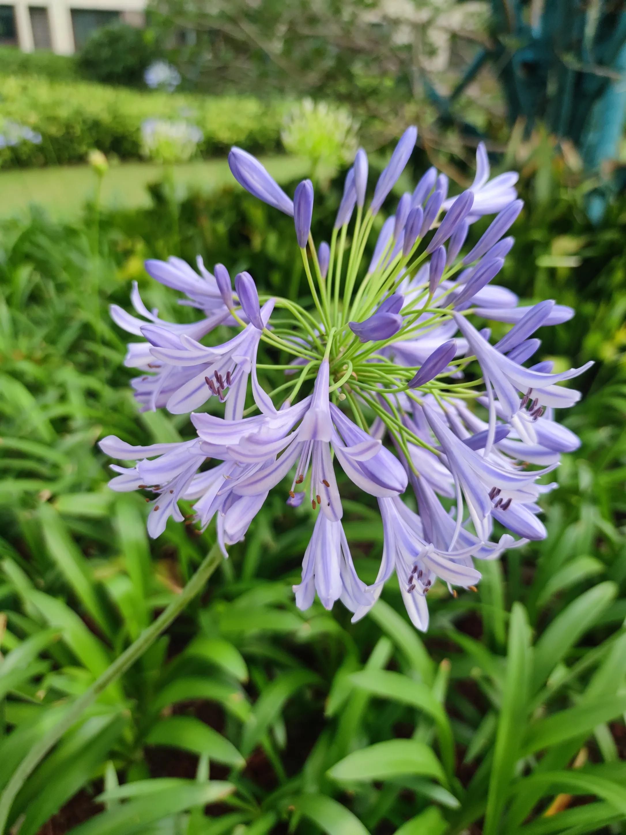 最近最火的电影,最近好看的电影