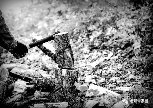 我的苦乐人生——下乡九年的蹉跎岁月