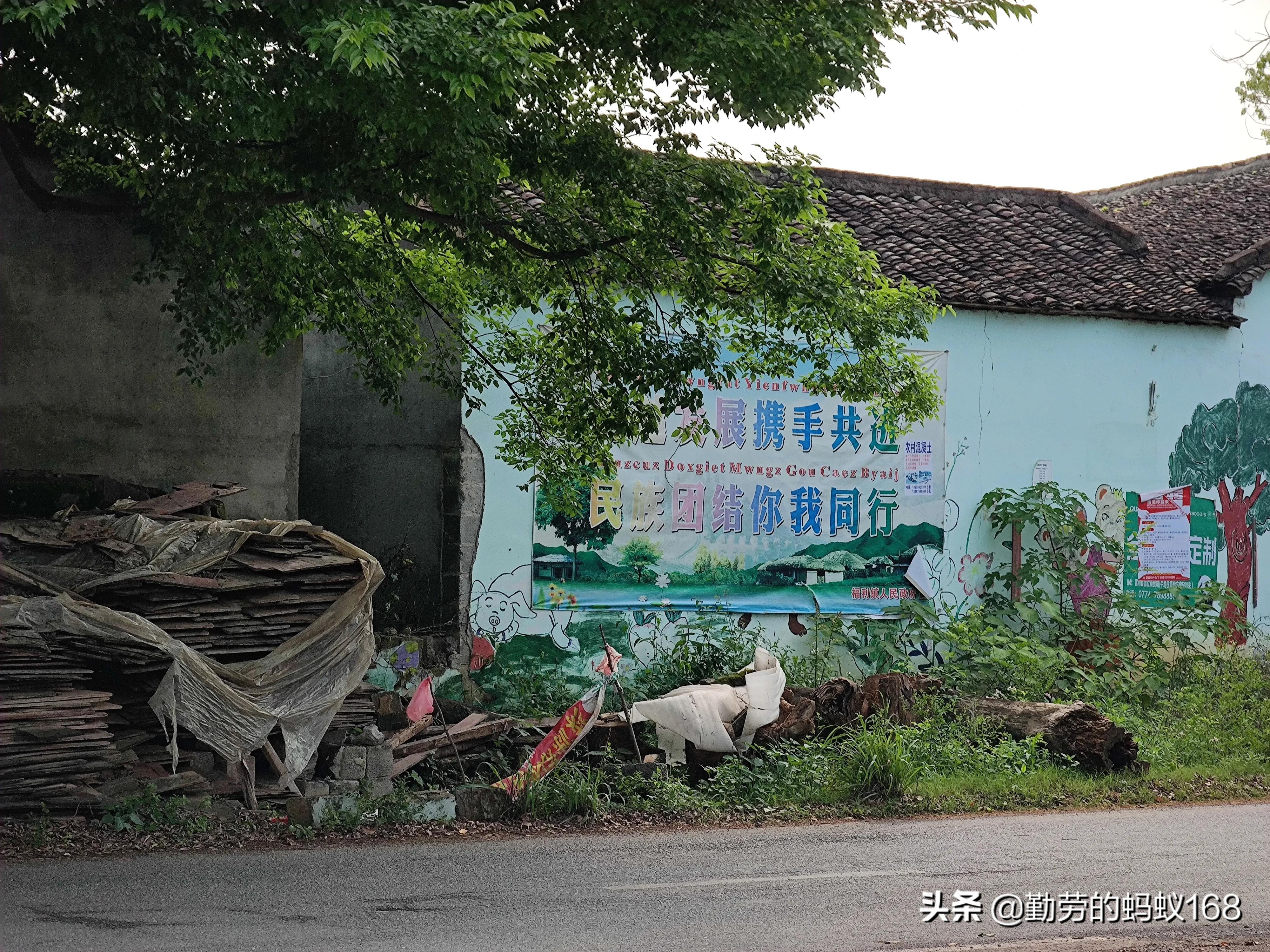 小米11ultra3999值得买吗,小米11ultra和荣耀magic4