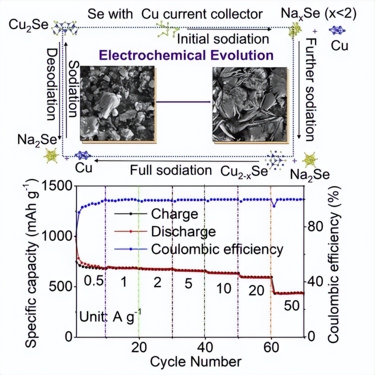 Bi2Se3纳米片电极的结构重构与电化学演变机理