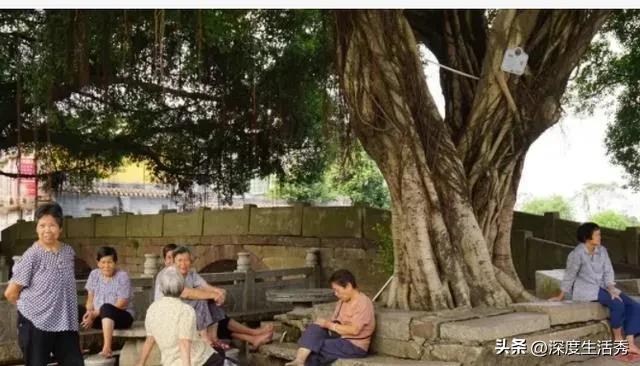 一把蒲扇一个竹床,一把蒲扇一个竹床便是一整个夏天