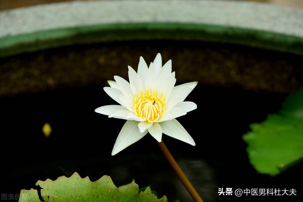 大汗淋漓后累怎么回事,战后综合症怎么缓解